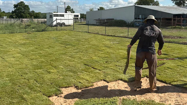 man laying out fresh sod