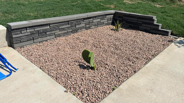 rock garden with cactus