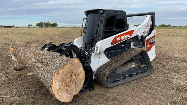 tree removal